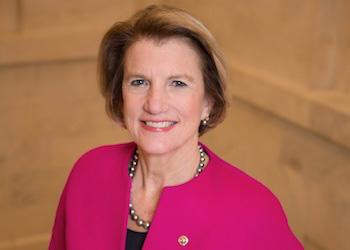 Picture of Amy Klobuchar